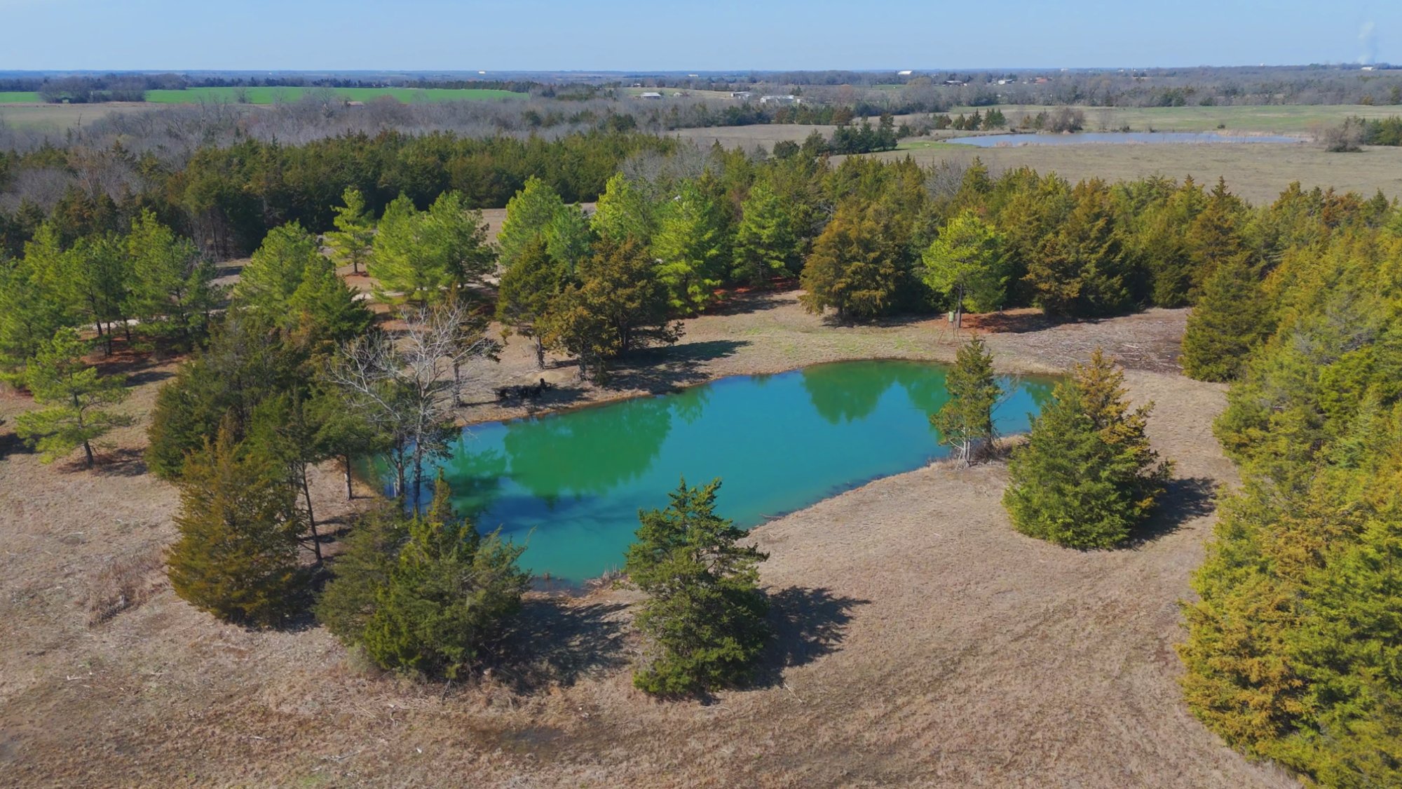 Aerial view of natural pond